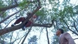 野山鹰：耗子为了给大家放哨，两天时间学会了爬树