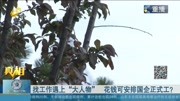 找工作遇上＂大人物＂ 花钱可安排国企正式工?资讯搜索最新资讯爱奇艺