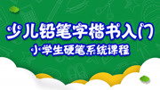 少儿硬笔书法系统课程 小学生必须掌握的30个基本笔画 致家长的一封信知识名师课堂爱奇艺