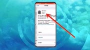 教你一键屏蔽苹果手机系统更新,ios12、ios13都可以用科技完整版视频在线观看爱奇艺