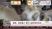 泰国:食物减少 猴子入侵学校和民宅资讯搜索最新资讯爱奇艺