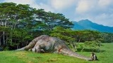 侏罗纪世界：暴虐霸王龙太残忍了，杀了恐龙不吃，纯粹为了好玩！