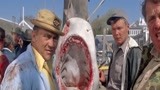 大白鲨：捕鲨人成网红，有课都要和他拍照，其实鲨鱼是假的！