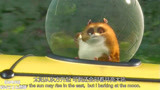闪电狗：小仓鼠坐在车顶兜风，好不潇洒，路人都看傻了！
