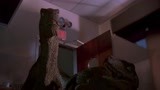 侏罗纪公园：两只恐龙追捕小孩吃，这智商太高了，看着真吓人