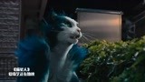 喵星人：喵星勇士附身小猫咪，没想到居然变大了，震惊！
