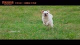 电影《再见汪先森》定档7月9日 曝光推广曲MV 《我变了我没变》