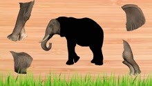 儿童启蒙益智拼图小游戏：找一找大象的身体