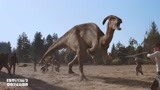 侏罗纪公园2人类用高科技，猎杀恐龙，太坏了！