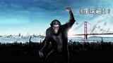 高分科幻《猩球崛起》，比人类还聪明的猩猩，带着猿群逆天改命
