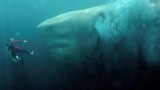 巨齿鲨：李冰冰深海里氧气罩破裂，不料巨齿鲨突然出现