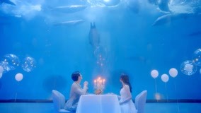 Watch the latest EP24 A Romantic Dinner At The Aquarium online with English subtitle for free English Subtitle