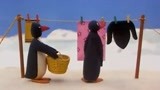 企鹅家族：企鹅蛋突然动了起来！在家上蹿下跳，小企鹅害怕了