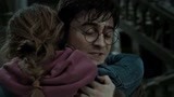 哈利·波特7：哈利准备去送死，赫敏最后拥抱，告别老朋友
