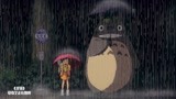 龙猫：大龙猫太顽皮了，第一次打伞疯狂玩雨水，可爱！