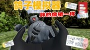 鸽子模拟器：你见过胖得像猪的鸽子吗？摸一摸太好玩啦！