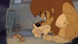 猫和老鼠：杰瑞偷火腿的目的，竟然是喂给狮子，令人吃惊
