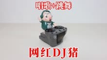 网红DJ猪：唱歌+跳舞