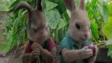 《比得兔》：小兔子们一进菜园子，暴露吃货本性，疯狂吃萝卜！