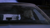 《异形魔怪》：美女以为躲车里就没事，不料连整个车子都吞了！