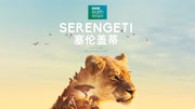 塞伦盖蒂 第一季 中文版
