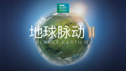 地球脉动第二季中文配音