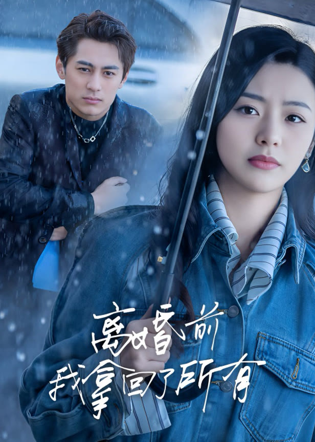 离婚前我拿回了所有