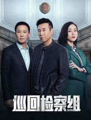 巡回检察组