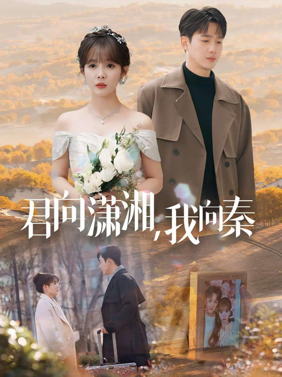 君向潇湘，我向秦封面图