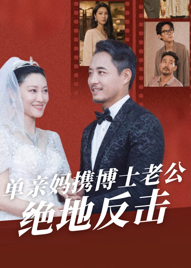 单亲妈携博士老公绝地反击