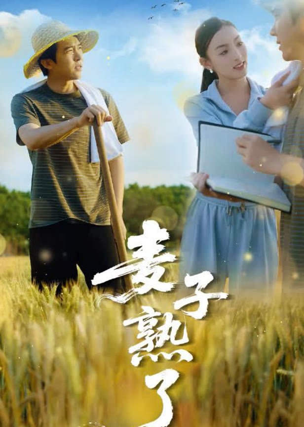 麦子熟了