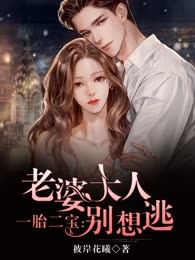 一胎二宝：老婆大人别想逃