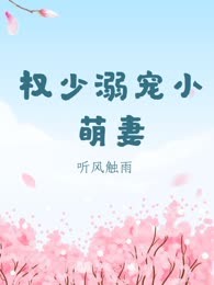 权少溺宠小萌妻