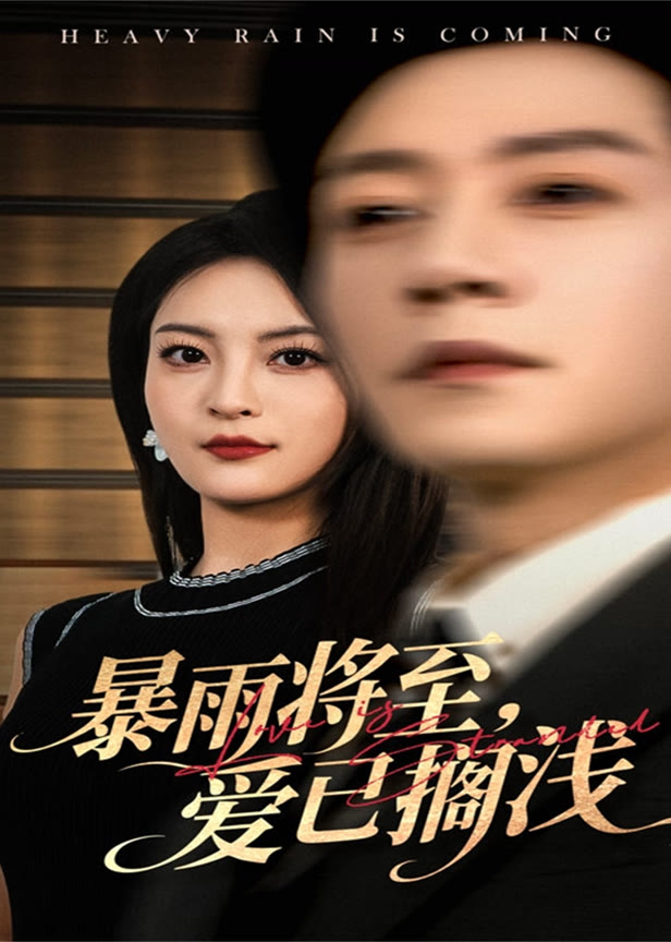 暴雨将至爱已搁浅