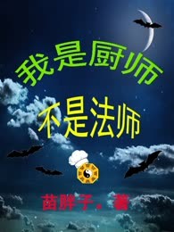 我是厨师不是法师