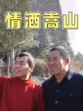 情洒嵩山