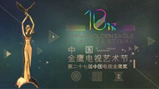 第十届中国金鹰电视艺术节