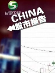中国股市报告