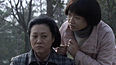 秦朝阳承担错误