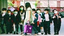 香港一名女童出现流感病症 曾前往上海并接触禽鸟