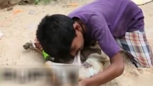 印度男孩喝狗奶上瘾6年时间
