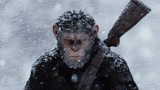 《猩球崛起3》打响人类命运之战