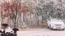 陕西迎来新年第一场雪，演绎人工增雪的白色浪漫