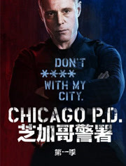 PPS芝加哥警署第1季