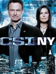 犯罪现场调查：纽约第6季