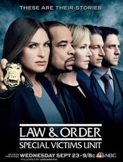 法律与秩序：特殊受害者第17季