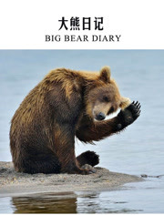 BBC：大熊日记