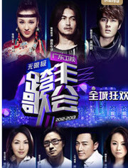 广东卫视跨年晚会 2013
