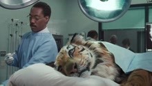 大叔从小就能跟动物交流，给老虎看病成兽医，却被送进精神病院