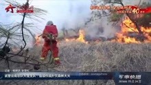武警云南总队大理支队：连续作战扑灭森林大火